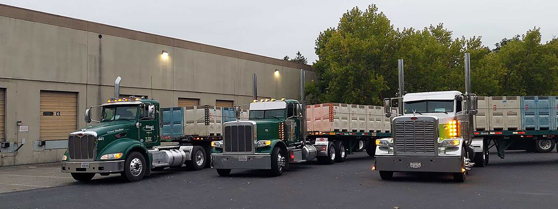 California Grape Harvest Transport